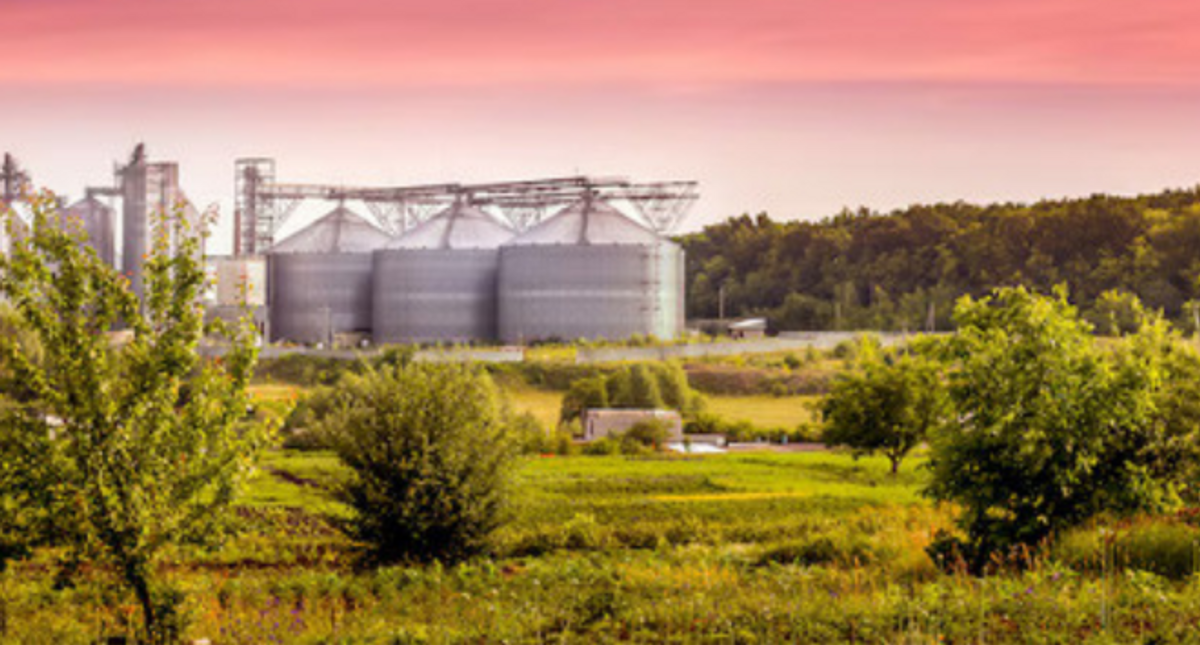 Leading Biomass Energy Provider in INDIA
