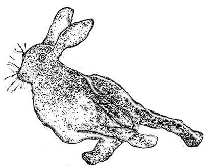 Leveret Systems Ltd