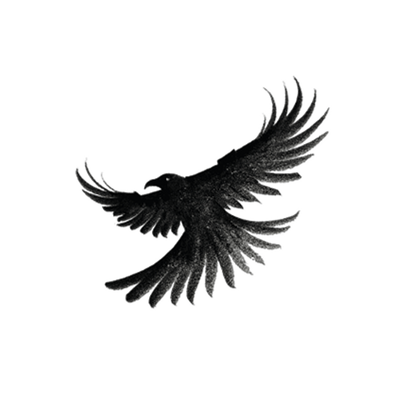 Raven