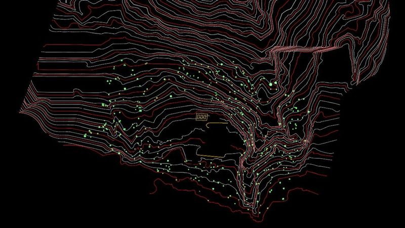 CAD - Landscape and Tree Diameter