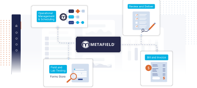 MetaField